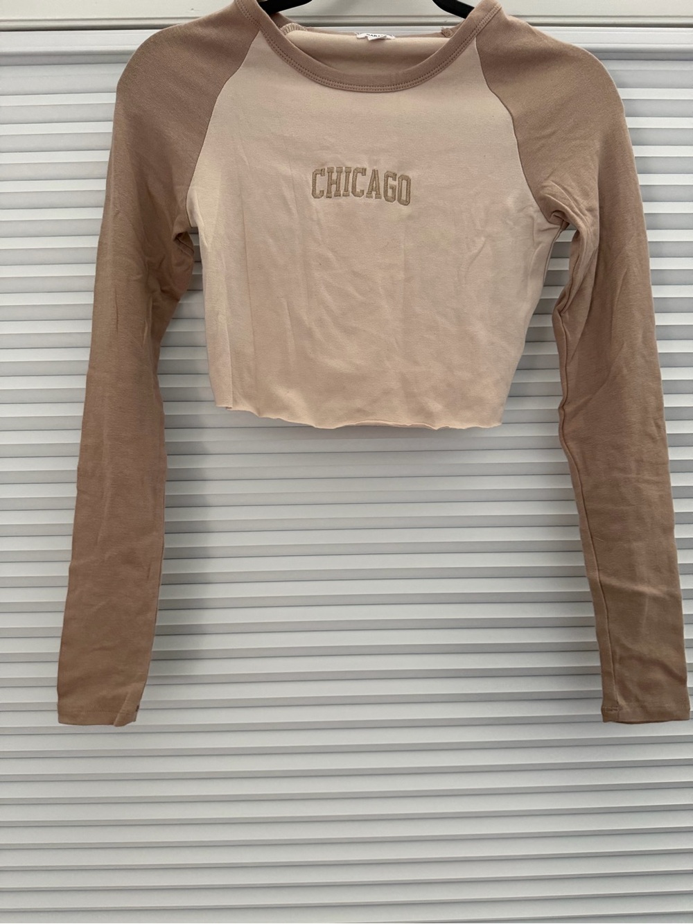 Garage- Chicago Embroidered Long-Sleeve Crop Top - Beige
